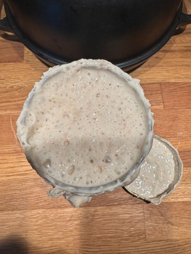 Welsh sourdough starter made - sourdough,