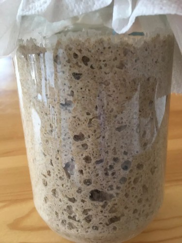 Fresh mature sourdough starter - mature,