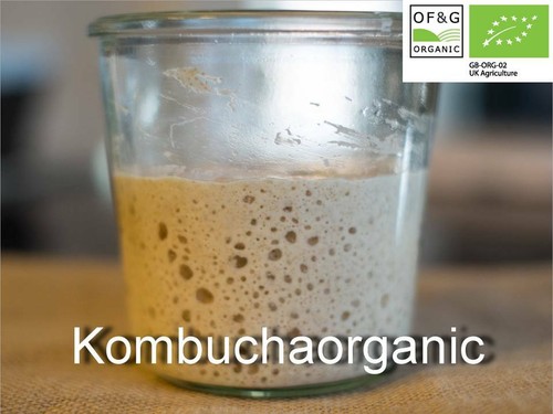 Certified organic year old - 44,
