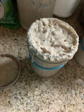 San Francisco SOURDOUGH