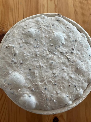 Rye fresh mature sourdough - mature,