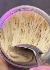 Organic Strong White Sourdough