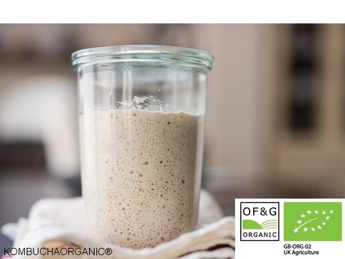 Organic year old - organic, yeast
