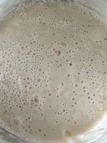 Sourdough starter 100g - sourdough,