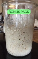 Sourdough Bread Starter &