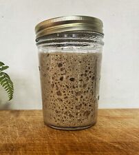 Organic Rye Sourdough Starter