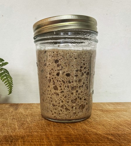 Organic rye sourdough - organic,