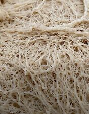 VERIFIED Sourdough Starter