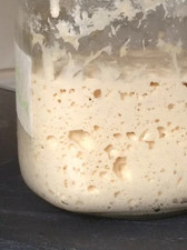 French Sourdough Starter