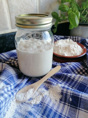 Sourdough starter for all - starter,