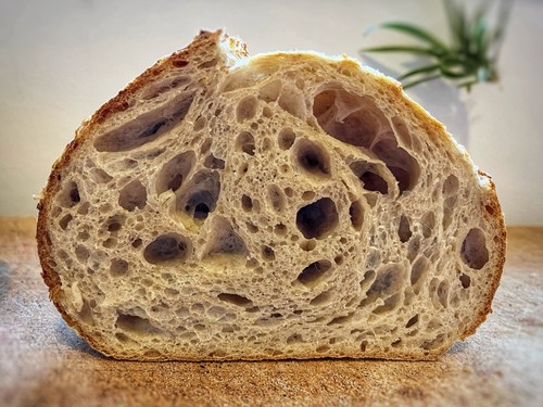 Bake international gold - bake, winner
