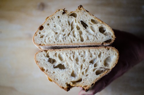 100 old sourdough starter - yr,