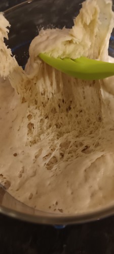 Lievito madre sweet - sweet, stiff(50%)